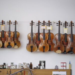 Mietinstrumente bei Friederike Dudda